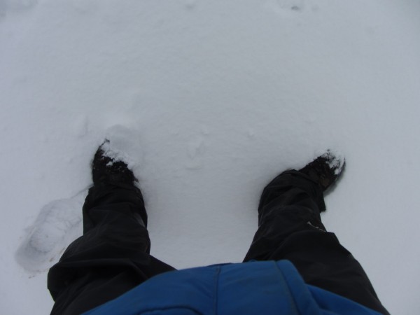 A few inches of snow but not really enough for a shelter or igloo.