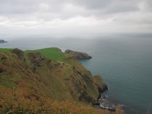IMG_0029