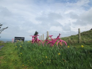 IMG_0032