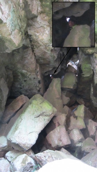 Liam