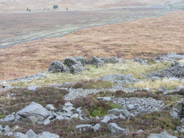 More structures down the slopes again. This one appears to be 2 structures joined together.