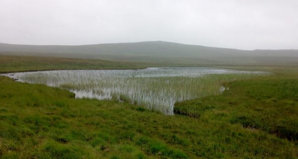 pic_001