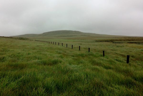pic_002