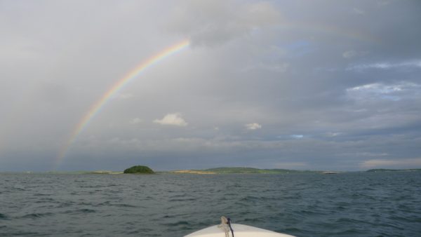 pic_005